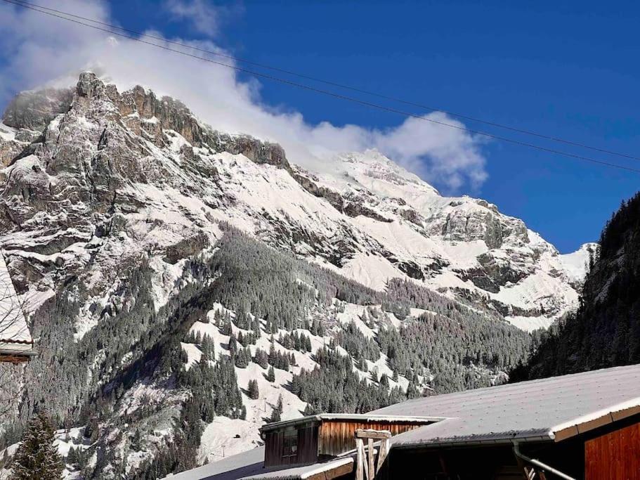 Appartement Mountain View Kandersteg