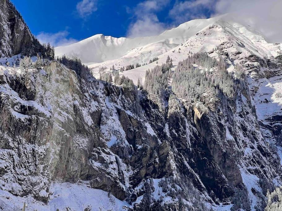 Appartement Mountain View Kandersteg