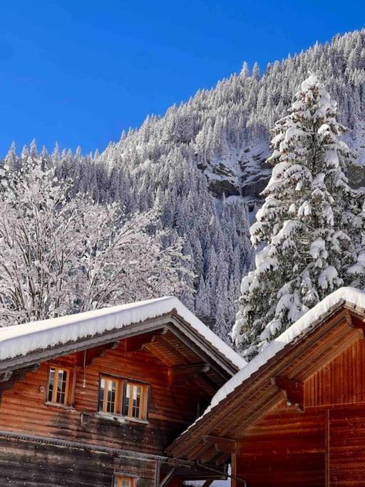 Mountain View Appartement