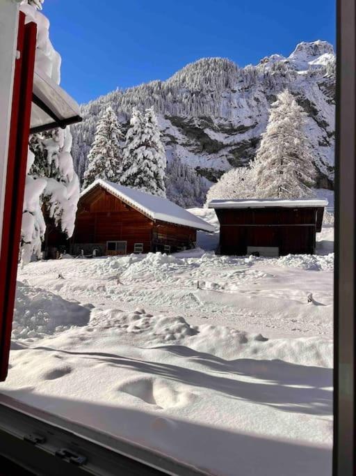 Mountain View Appartement *
