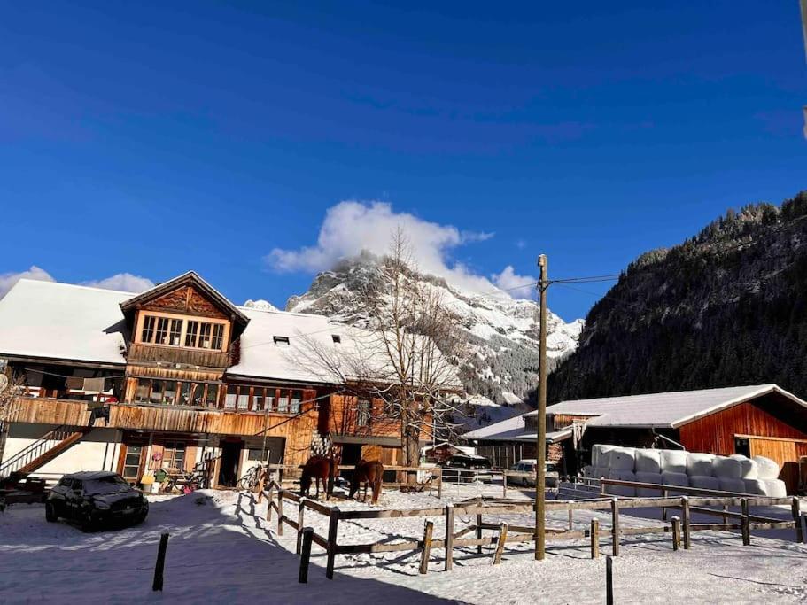 Appartement Mountain View
