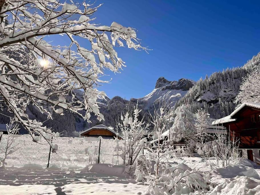 Appartement Mountain View Kandersteg